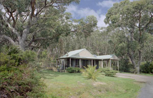 Dog friendly Otways Accommodation - Great Ocean Road, Victoria