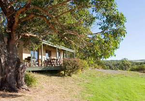 Dog friendly Otways Accommodation - Great Ocean Road, Victoria