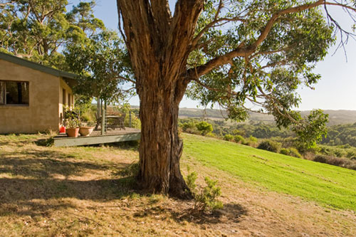 Pet Friendly Accommodation - Cape Otway - Victoria