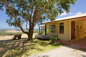 Luxury dog friendly accommodation - Great Ocean Road, Victoria