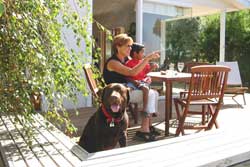 beachside holidays with pets