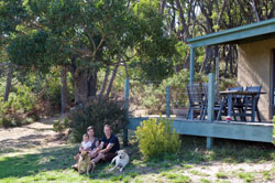 Doggie Heaven in beautiful Otways Accommodation